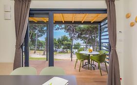 Arena Indije Mobile Homes
